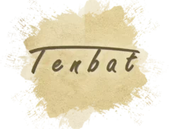 Tenbat Logo Professional